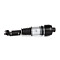 Mercedes-Benz CLS Class C219 Right Front AMG Air Suspension Shock A2113206413
